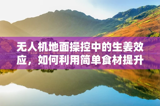 无人机地面操控中的生姜效应，如何利用简单食材提升操控稳定性？