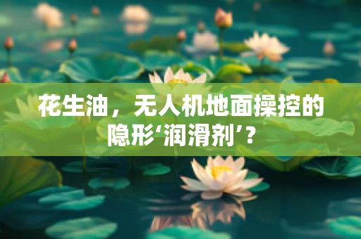 花生油，无人机地面操控的隐形‘润滑剂’？