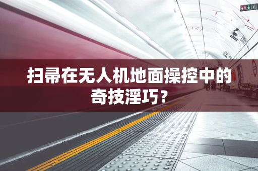 扫帚在无人机地面操控中的奇技淫巧？