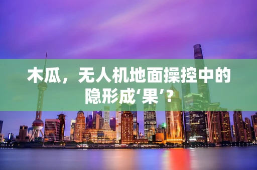 木瓜，无人机地面操控中的隐形成‘果’？