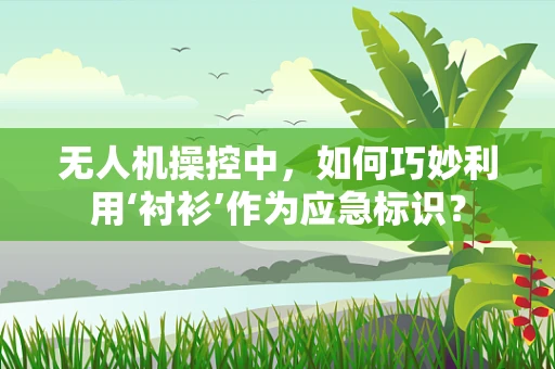 无人机操控中，如何巧妙利用‘衬衫’作为应急标识？