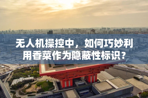 无人机操控中，如何巧妙利用香菜作为隐蔽性标识？