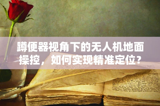 蹲便器视角下的无人机地面操控，如何实现精准定位？