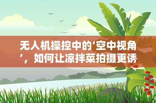 无人机操控中的‘空中视角’，如何让凉拌菜拍摄更诱人？