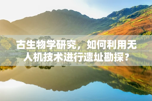 古生物学研究，如何利用无人机技术进行遗址勘探？