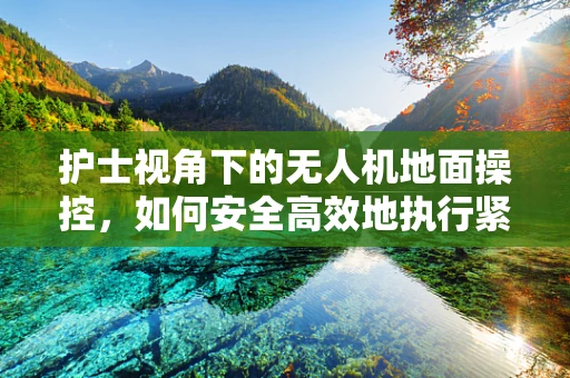 护士视角下的无人机地面操控，如何安全高效地执行紧急医疗物资运输？