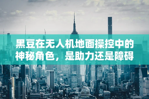 黑豆在无人机地面操控中的神秘角色，是助力还是障碍？