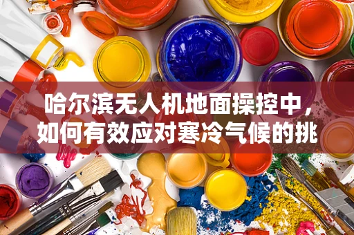 哈尔滨无人机地面操控中，如何有效应对寒冷气候的挑战？