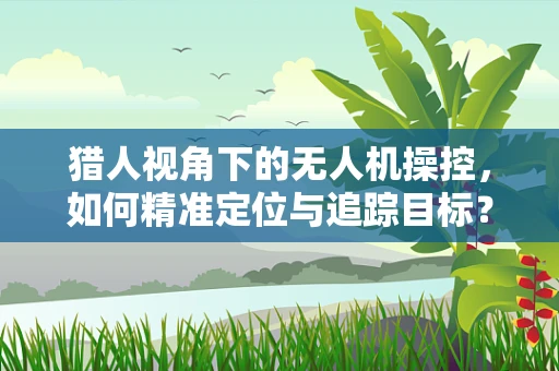 猎人视角下的无人机操控，如何精准定位与追踪目标？
