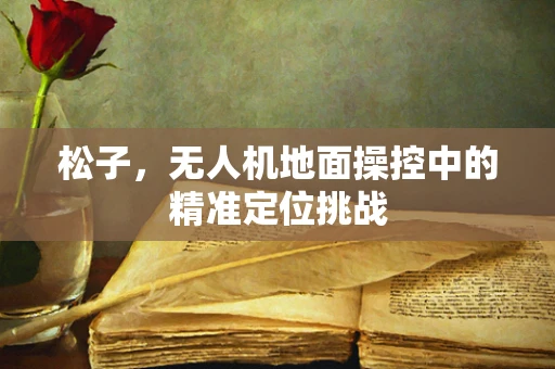 松子，无人机地面操控中的精准定位挑战