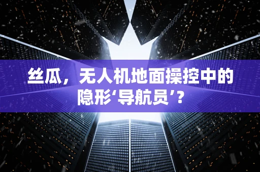 丝瓜，无人机地面操控中的隐形‘导航员’？