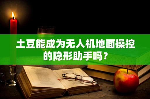 土豆能成为无人机地面操控的隐形助手吗？