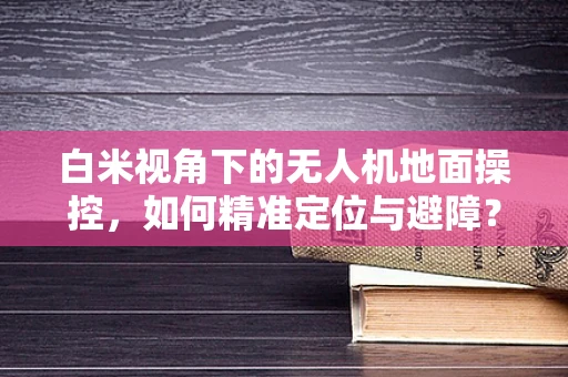 白米视角下的无人机地面操控，如何精准定位与避障？