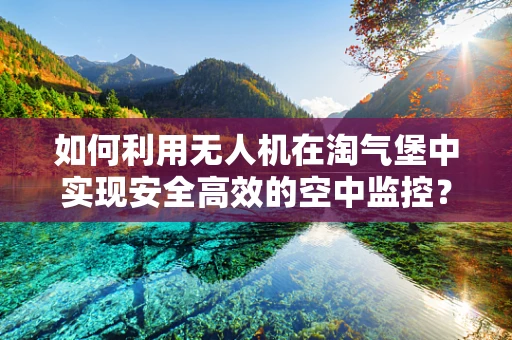 如何利用无人机在淘气堡中实现安全高效的空中监控？