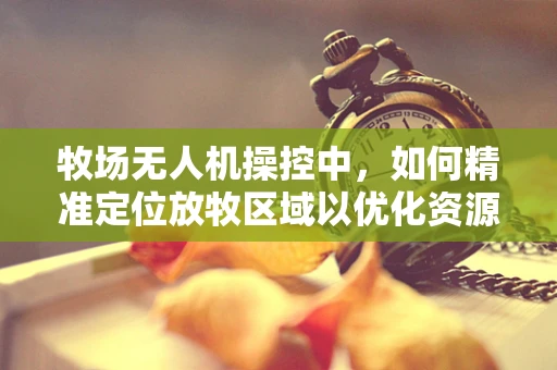 牧场无人机操控中，如何精准定位放牧区域以优化资源利用？