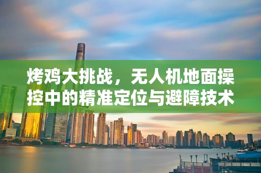 烤鸡大挑战，无人机地面操控中的精准定位与避障技术