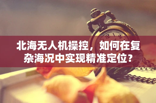 北海无人机操控，如何在复杂海况中实现精准定位？