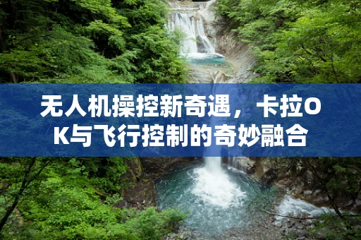 无人机操控新奇遇，卡拉OK与飞行控制的奇妙融合