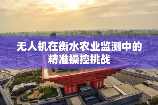 无人机在衡水农业监测中的精准操控挑战