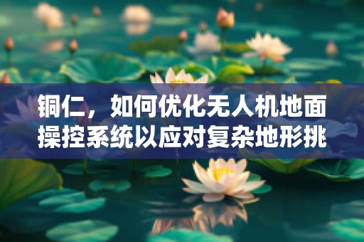 铜仁，如何优化无人机地面操控系统以应对复杂地形挑战？