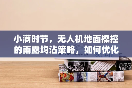小满时节，无人机地面操控的雨露均沾策略，如何优化飞行任务分配？