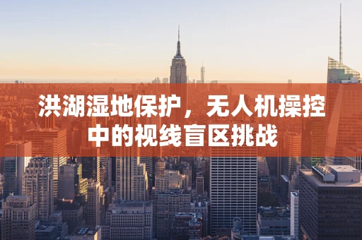 洪湖湿地保护，无人机操控中的视线盲区挑战