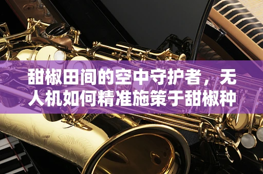 甜椒田间的空中守护者，无人机如何精准施策于甜椒种植？