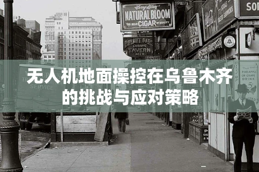 无人机地面操控在乌鲁木齐的挑战与应对策略