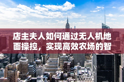 店主夫人如何通过无人机地面操控，实现高效农场的智能管理？