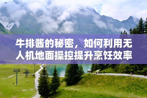 牛排酱的秘密，如何利用无人机地面操控提升烹饪效率？