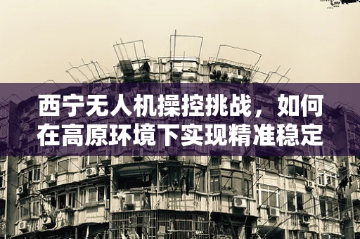 西宁无人机操控挑战，如何在高原环境下实现精准稳定的地面操控？