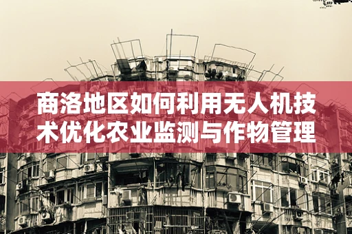 商洛地区如何利用无人机技术优化农业监测与作物管理？