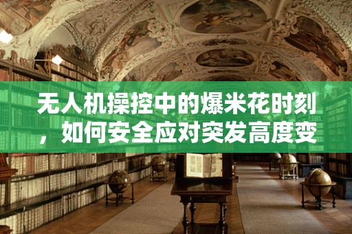 无人机操控中的爆米花时刻，如何安全应对突发高度变化？