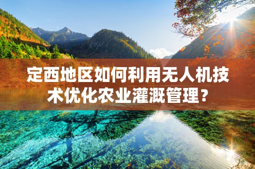 定西地区如何利用无人机技术优化农业灌溉管理？