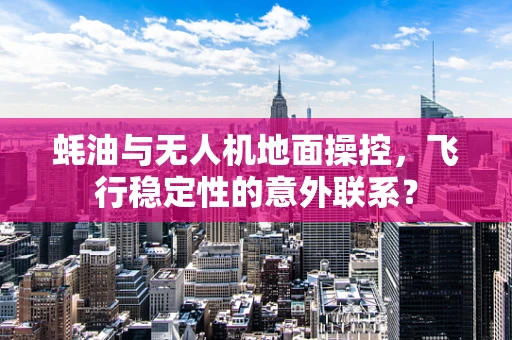 蚝油与无人机地面操控，飞行稳定性的意外联系？