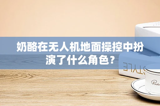奶酪在无人机地面操控中扮演了什么角色？