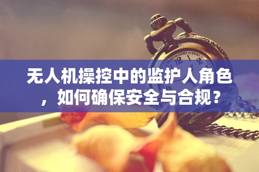 无人机操控中的监护人角色，如何确保安全与合规？
