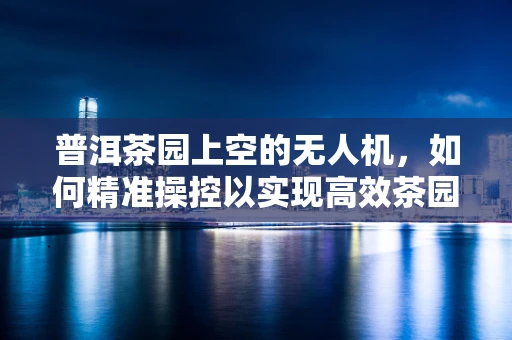 普洱茶园上空的无人机，如何精准操控以实现高效茶园监测？