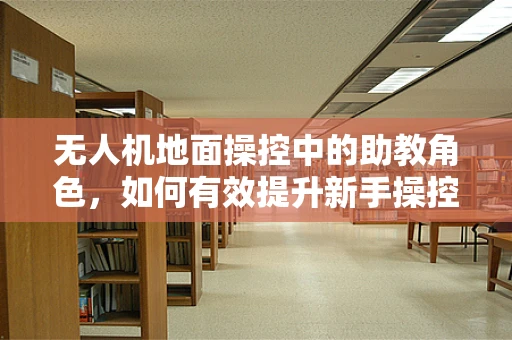无人机地面操控中的助教角色，如何有效提升新手操控员的技能？