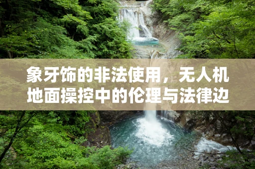 象牙饰的非法使用，无人机地面操控中的伦理与法律边界