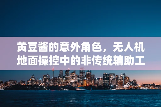 黄豆酱的意外角色，无人机地面操控中的非传统辅助工具？