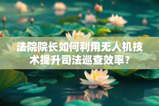 法院院长如何利用无人机技术提升司法巡查效率？