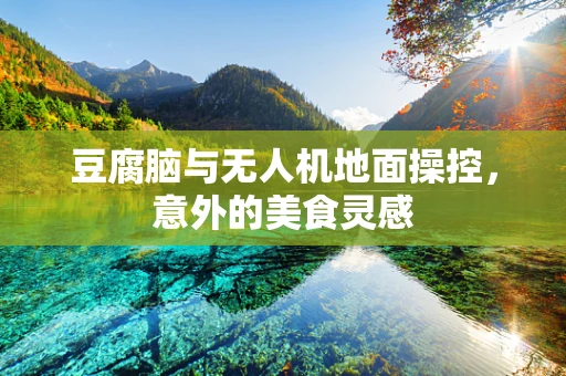 豆腐脑与无人机地面操控，意外的美食灵感