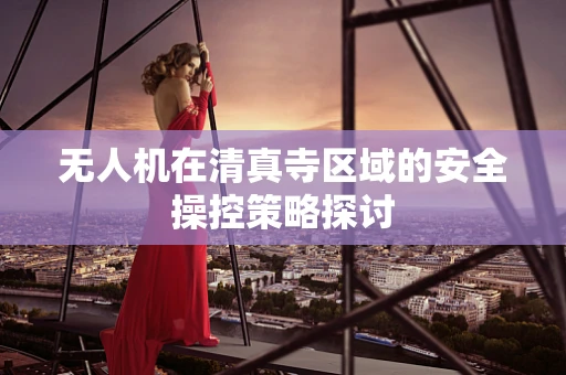 无人机在清真寺区域的安全操控策略探讨