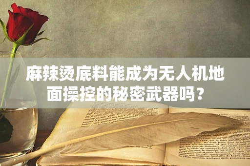 麻辣烫底料能成为无人机地面操控的秘密武器吗？