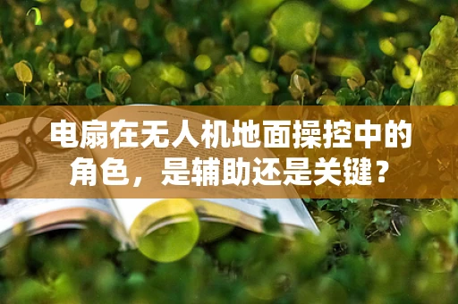 电扇在无人机地面操控中的角色，是辅助还是关键？