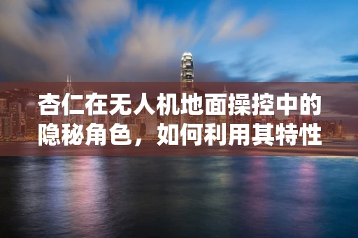 杏仁在无人机地面操控中的隐秘角色，如何利用其特性优化导航系统？