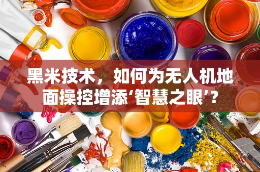 黑米技术，如何为无人机地面操控增添‘智慧之眼’？