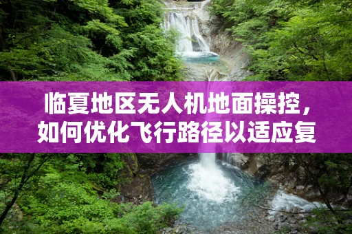 临夏地区无人机地面操控，如何优化飞行路径以适应复杂地形？