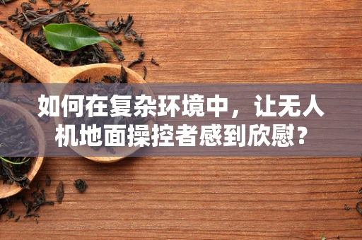 如何在复杂环境中，让无人机地面操控者感到欣慰？